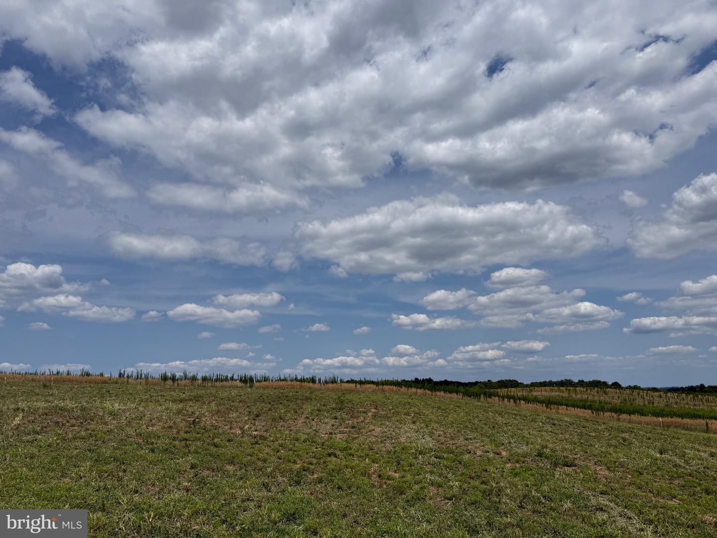 Cardinal Ln #lot D Property Photo 1