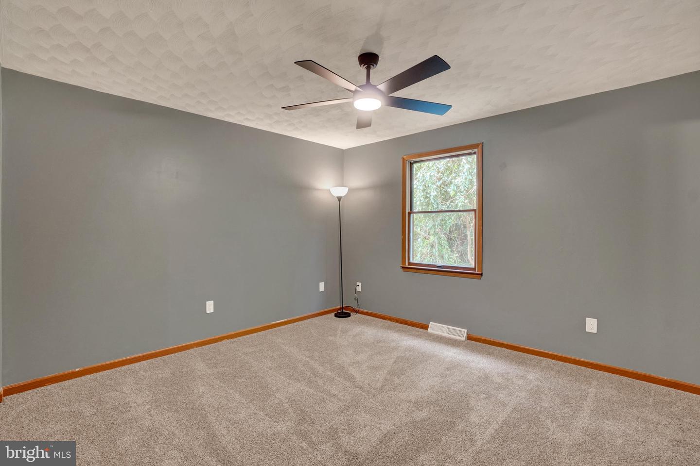 15 Loop Dr Property Photo 9