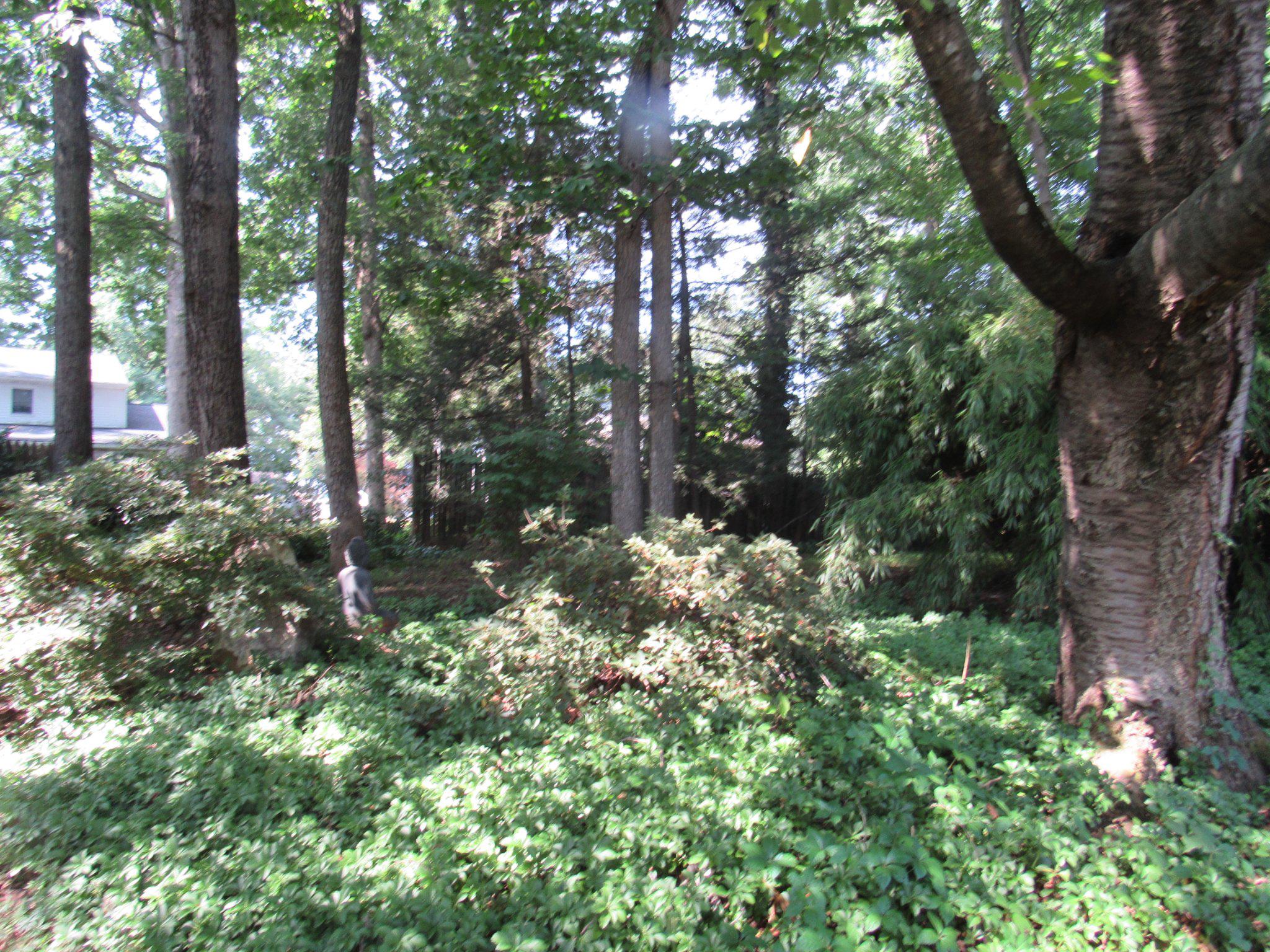 621 Ensminger Dr Property Photo 28
