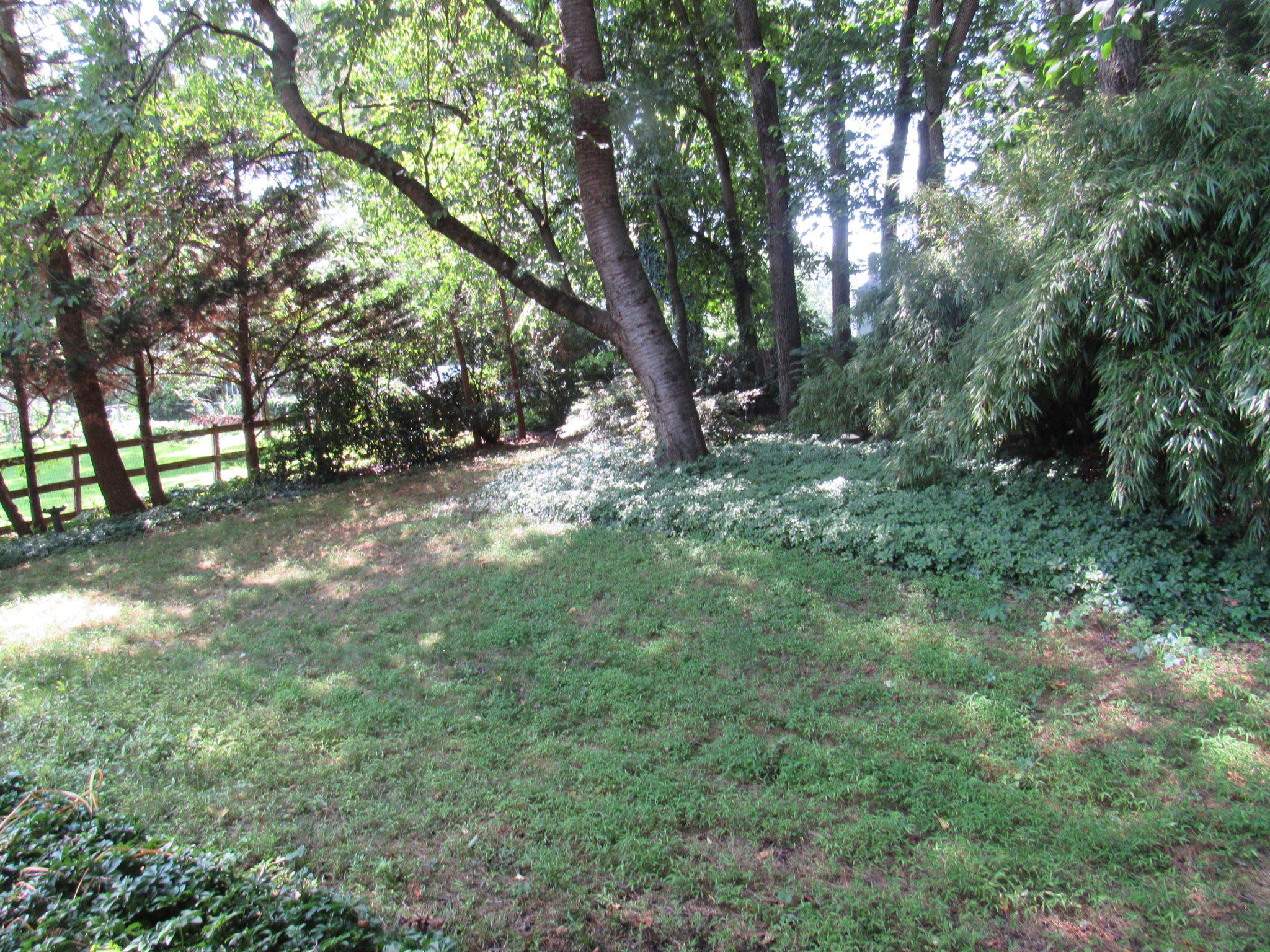 621 Ensminger Dr Property Photo 29