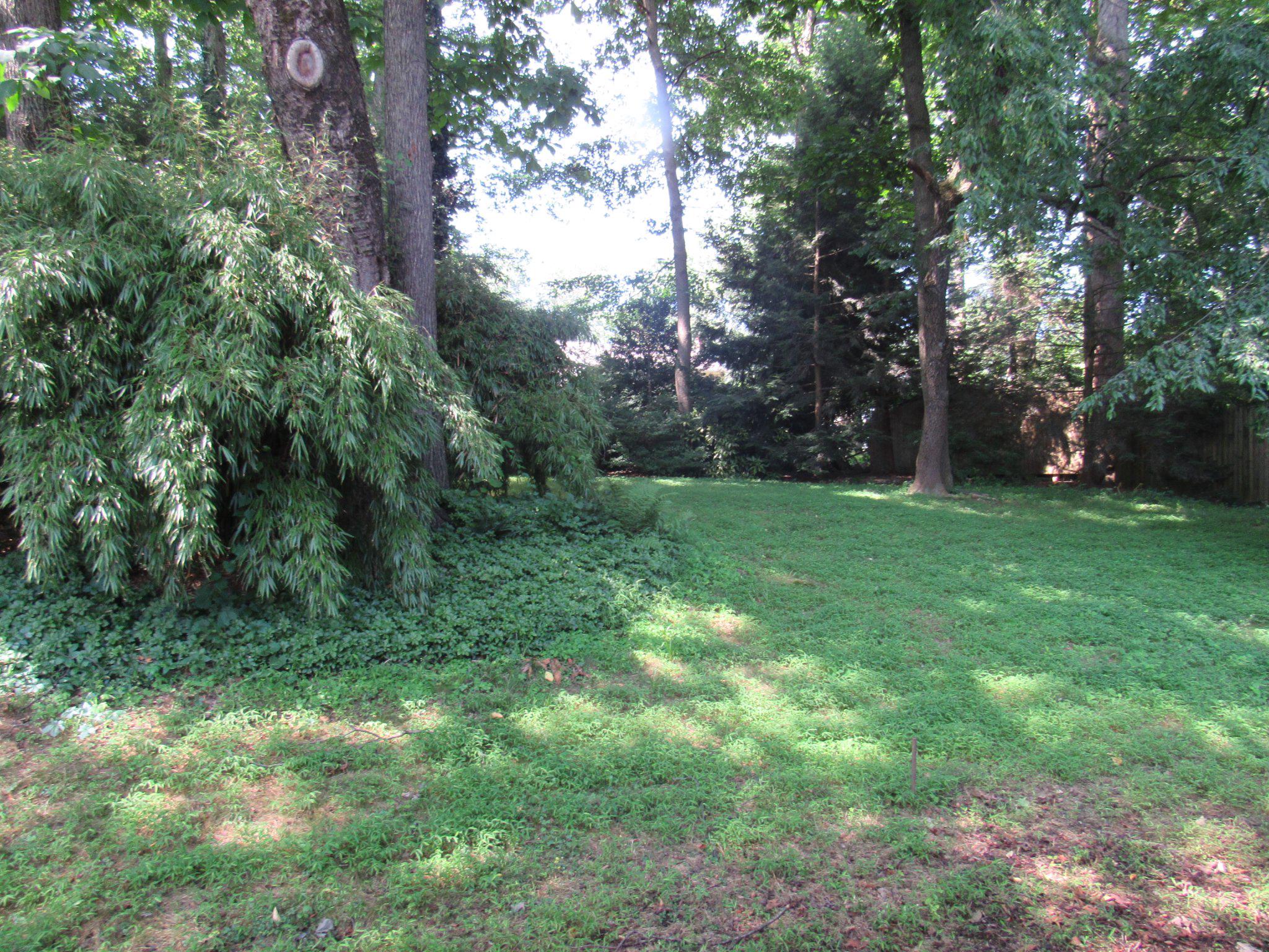 621 Ensminger Dr Property Photo 30