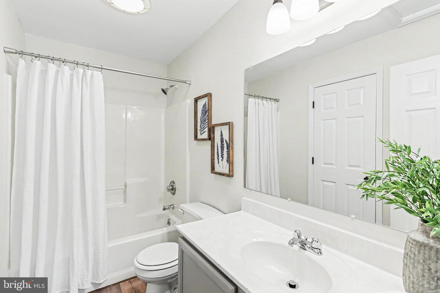 374 Cherry St #374 Property Photo 18