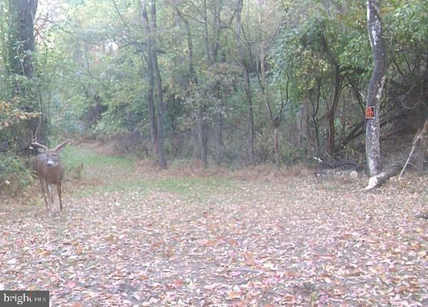 591 Codorus Furnace Rd Property Photo 56