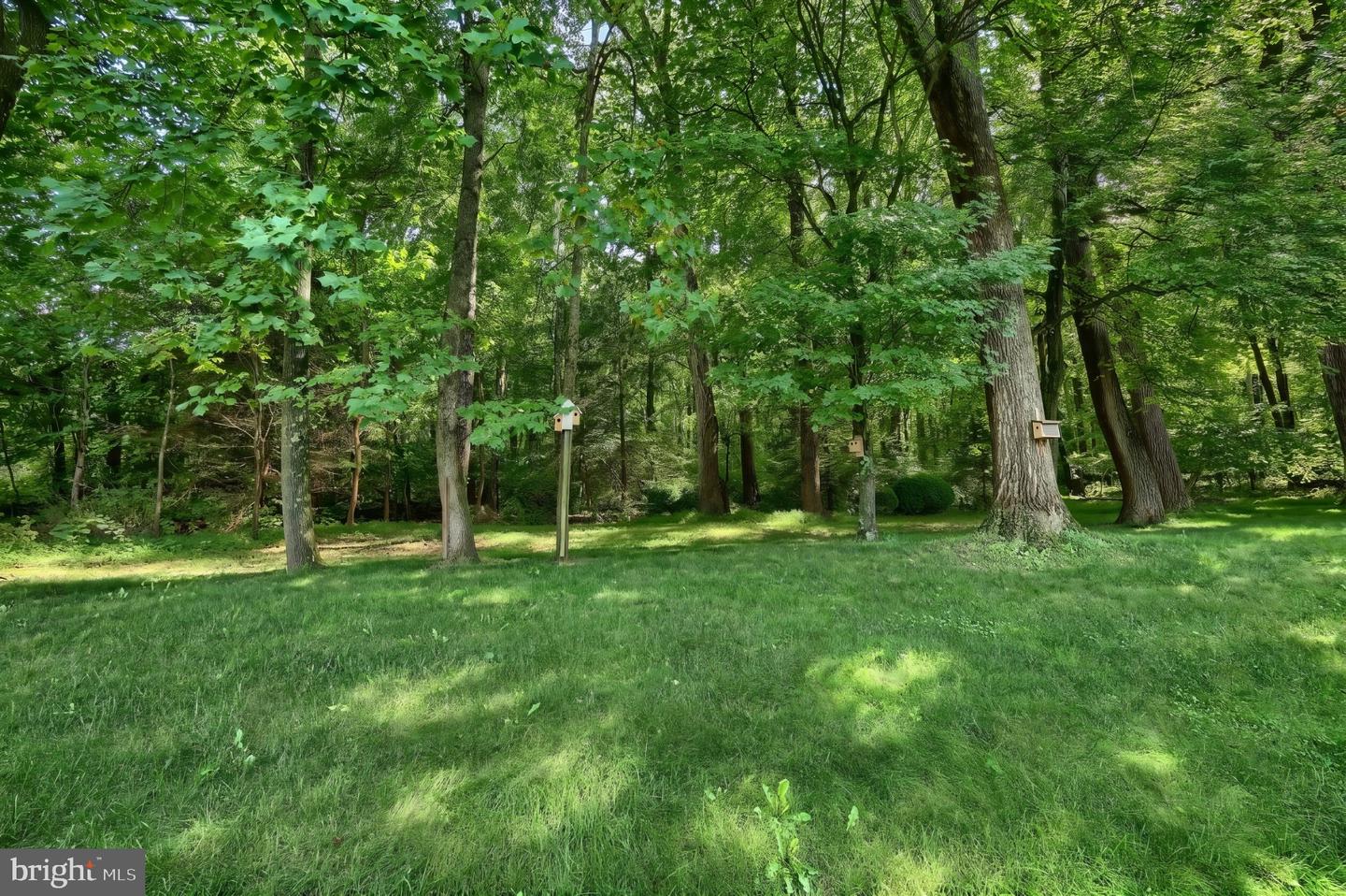 134 Watson Rd Property Photo 11