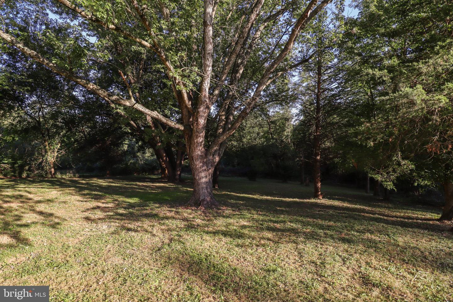 54 Glenna Dr Property Photo 35