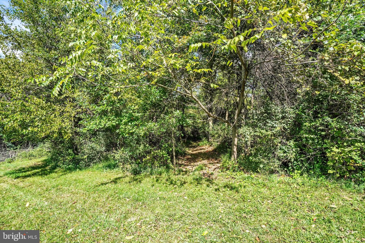5771 Mount Pisgah Rd Property Photo 23