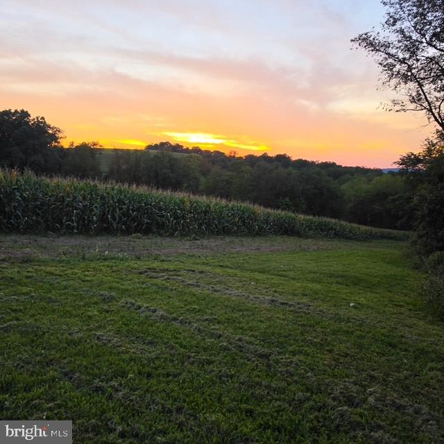 5771 Mount Pisgah Rd Property Photo 29