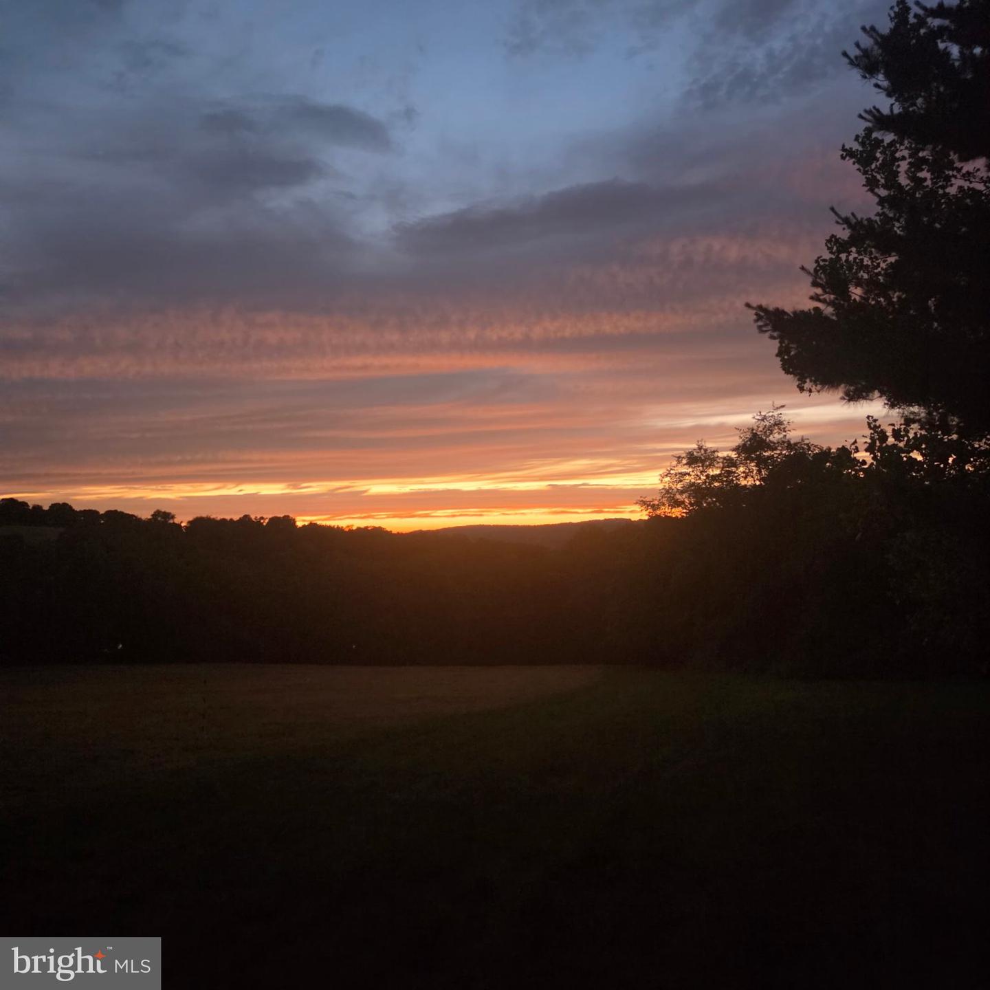 5771 Mount Pisgah Rd Property Photo 31