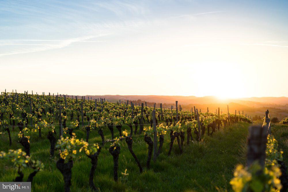 4500 Winery Ln Property Photo 1