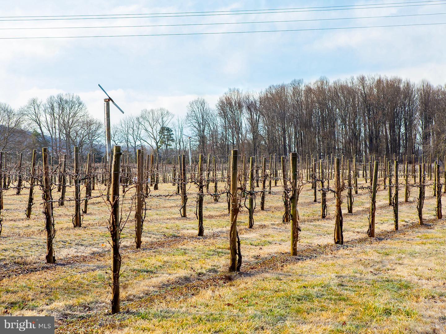 4500 Winery Ln Property Photo 25