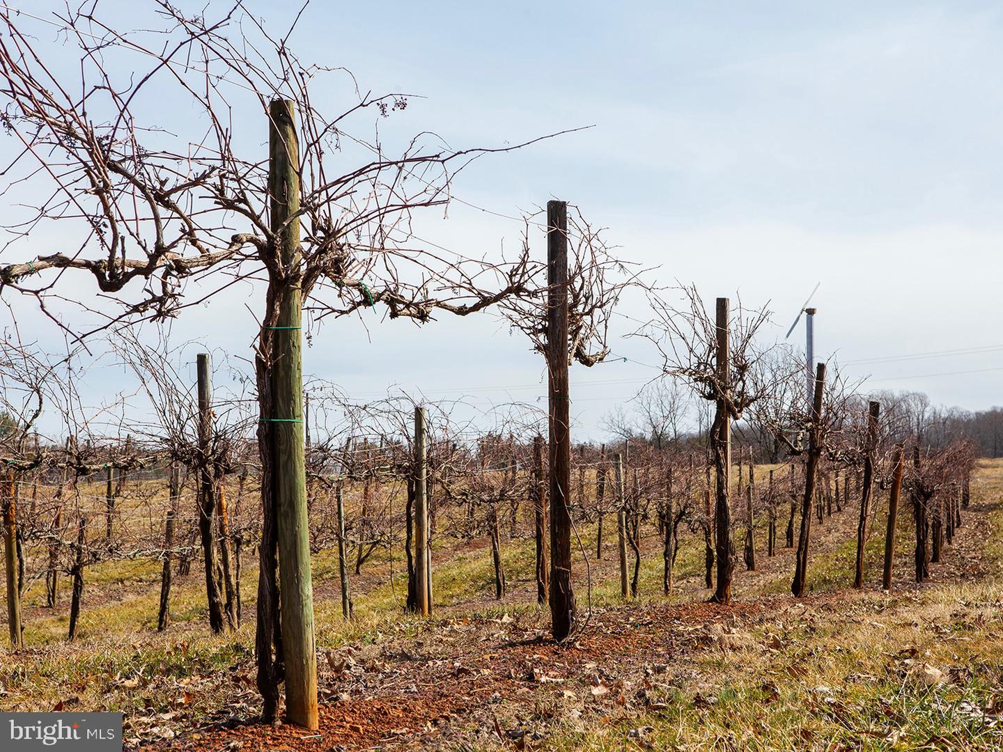 4500 Winery Ln Property Photo 27