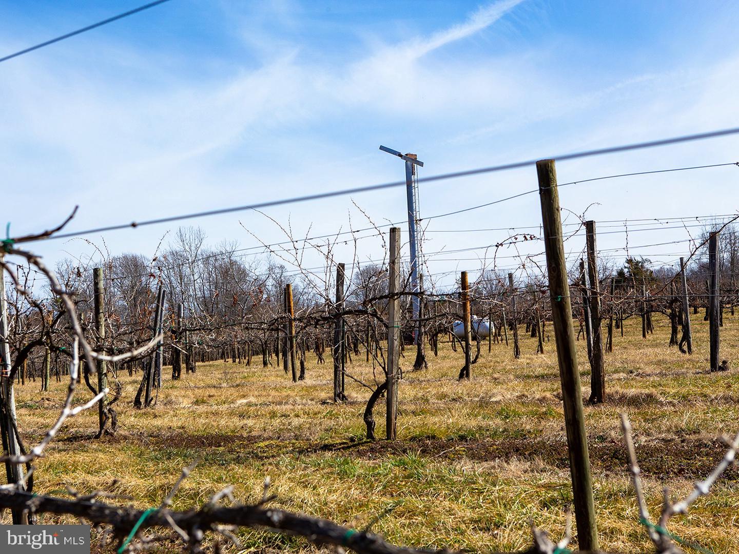 4500 Winery Ln Property Photo 29