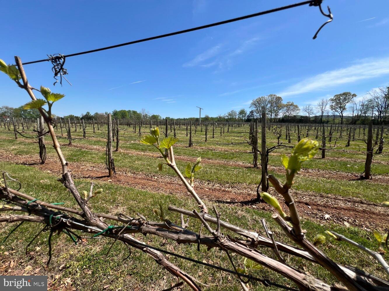 4500 Winery Ln Property Photo 107