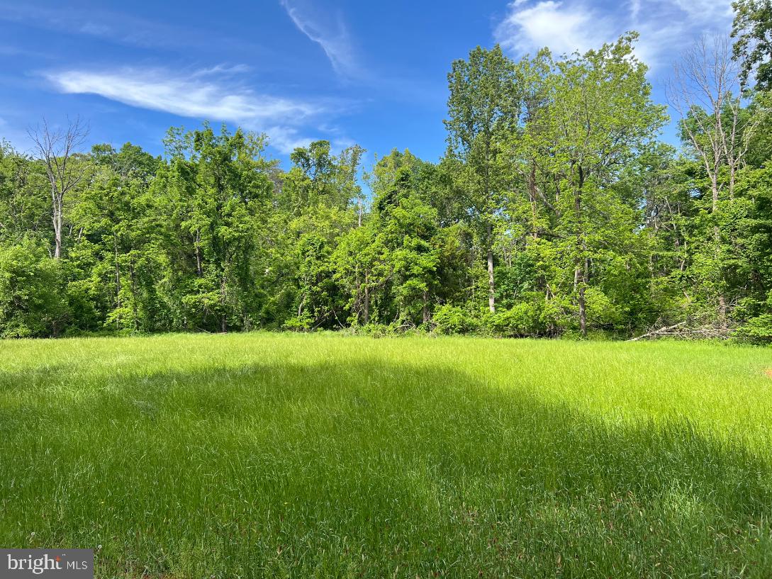Stony Point Pass Property Photo 14