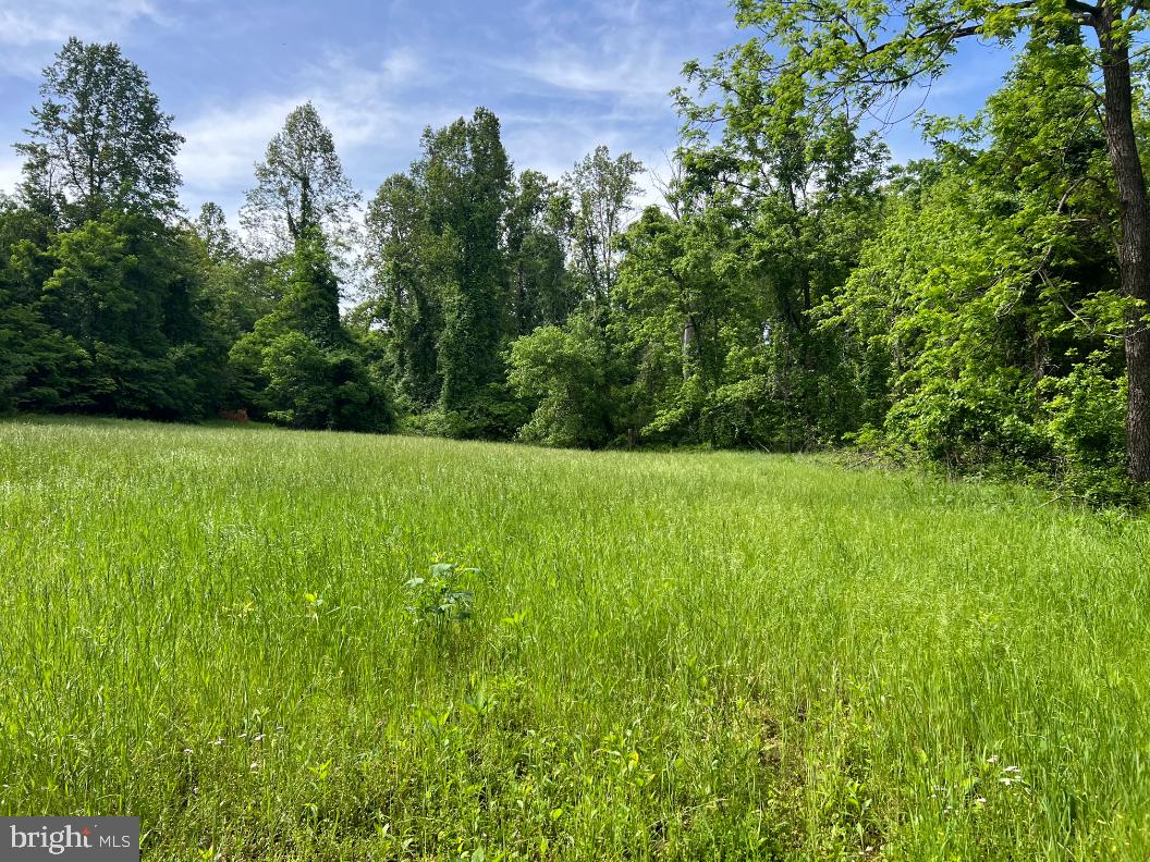 Stony Point Pass Property Photo 15