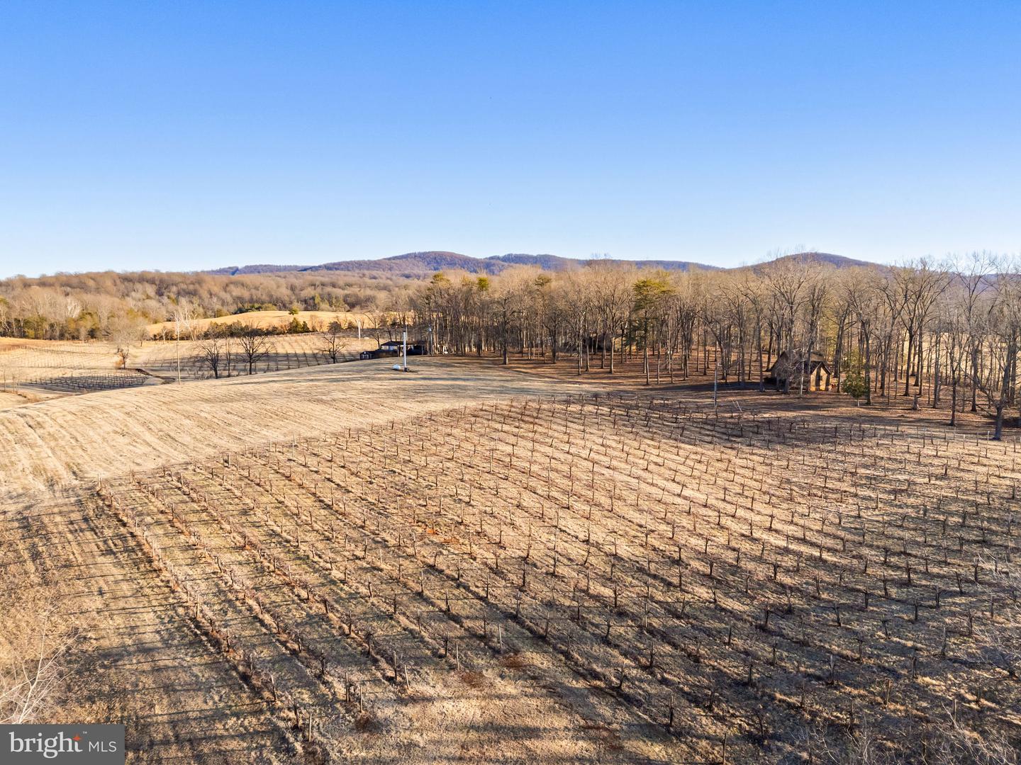 4500 Winery Ln Property Photo 8