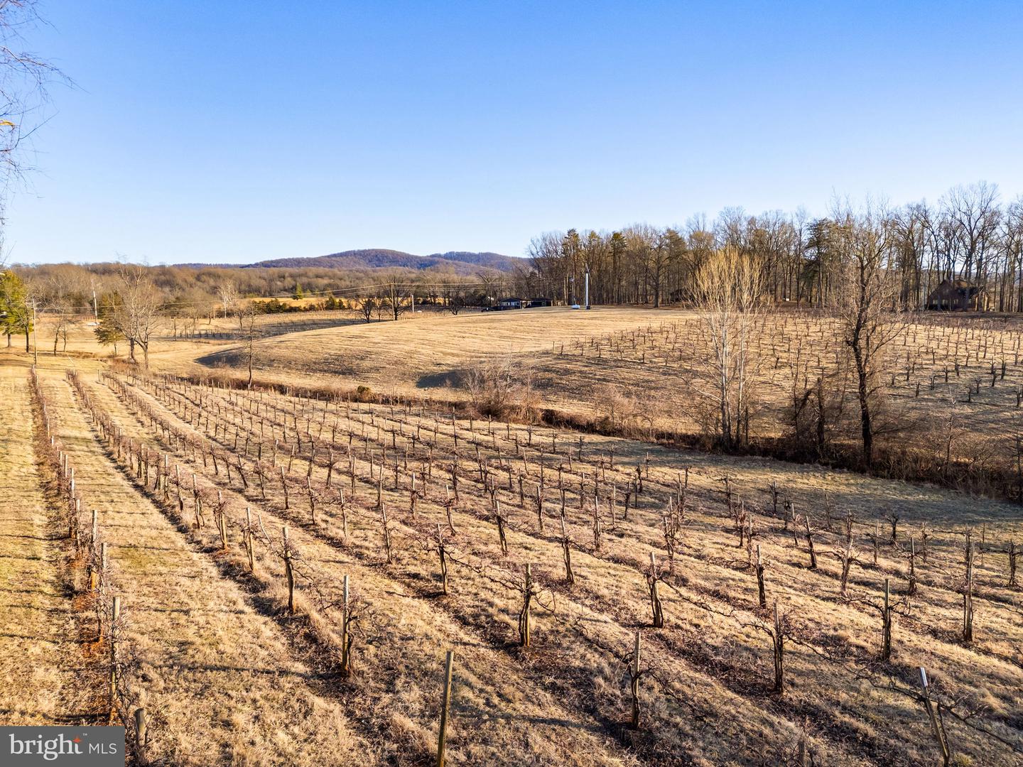 4500 Winery Ln Property Photo 9