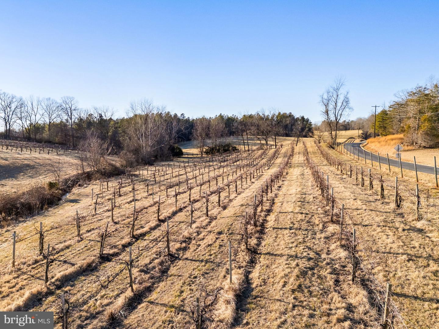 4500 Winery Ln Property Photo 10