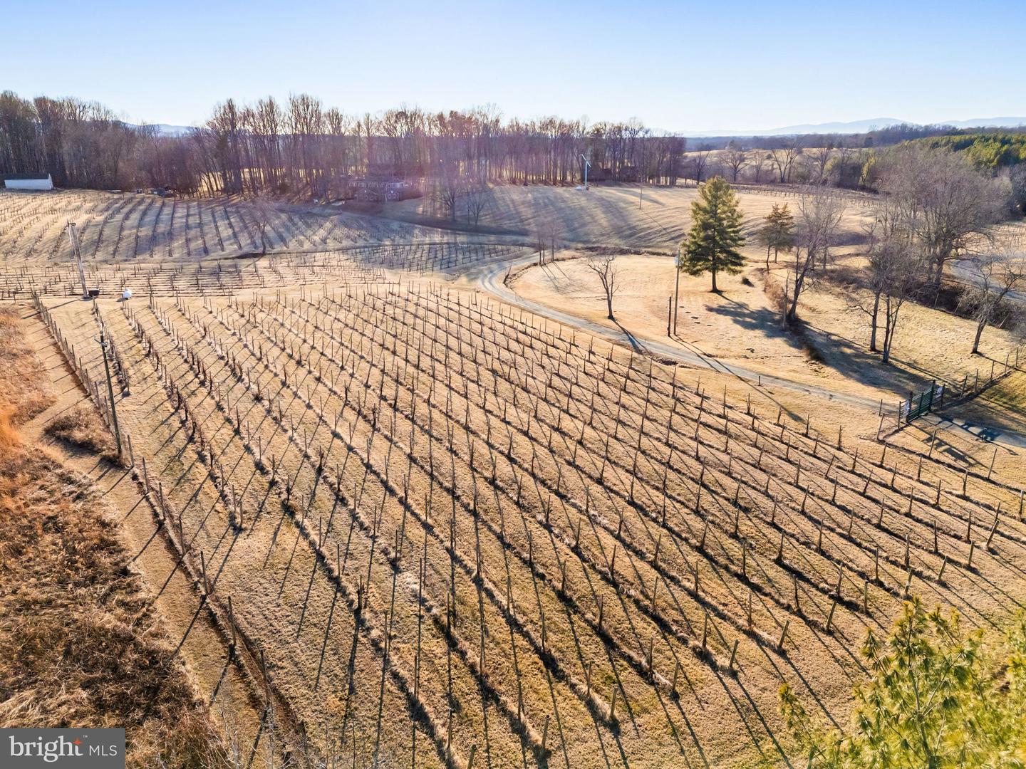 4500 Winery Ln Property Photo 12