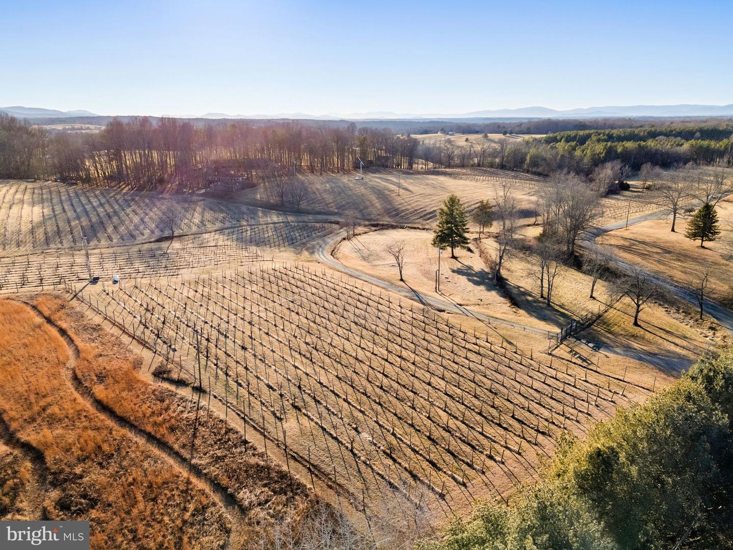 4500 Winery Ln Property Photo 13