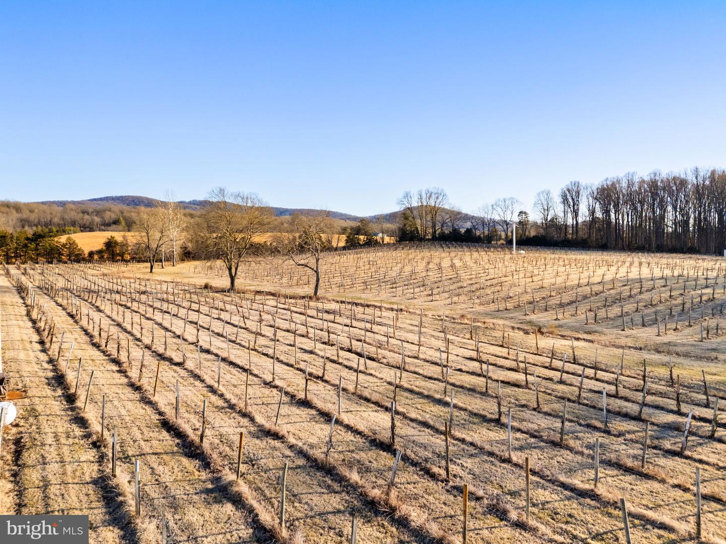 4500 Winery Ln Property Photo 15