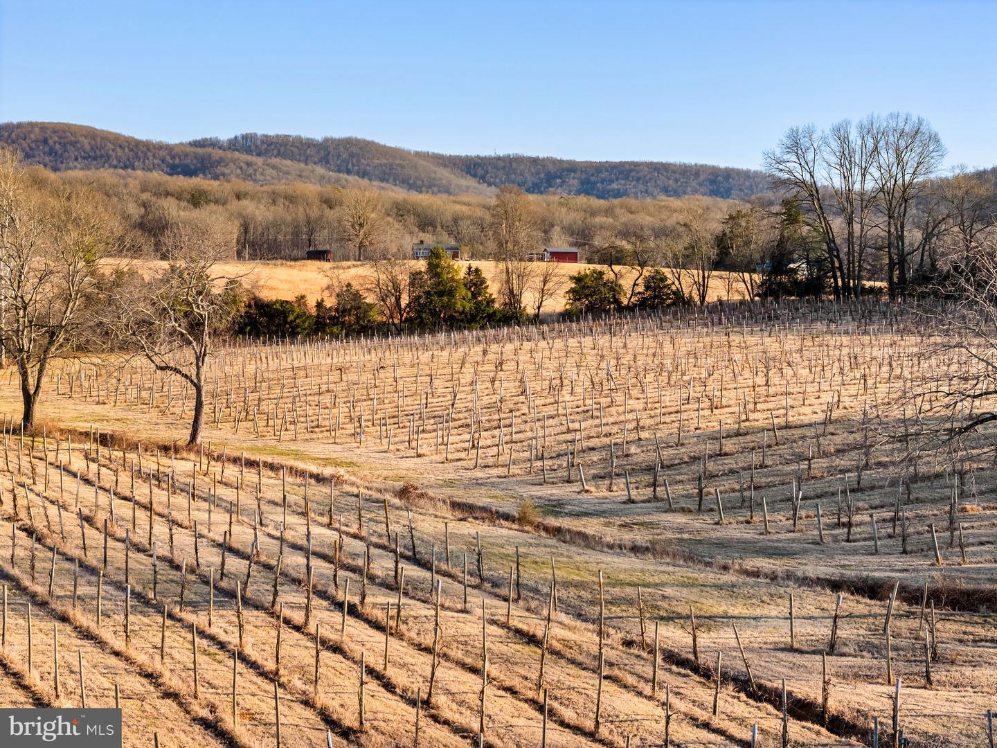 4500 Winery Ln Property Photo 18
