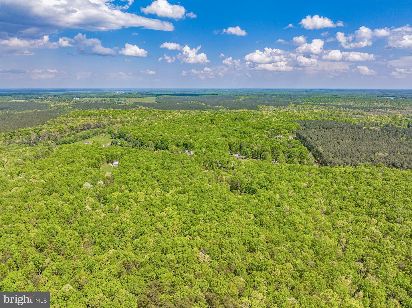 845 Raccoon Ridge Rd Property Photo 6