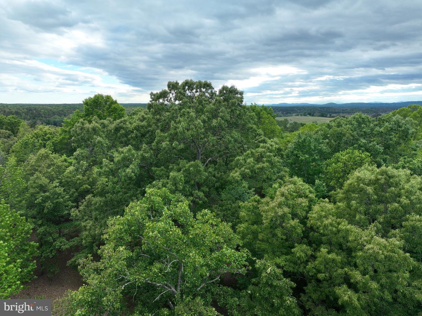 0 Rivanna Rdg Property Photo 26