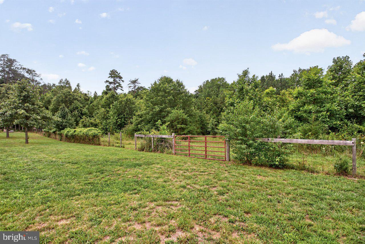 7066 Fortune Ln Property Photo 44