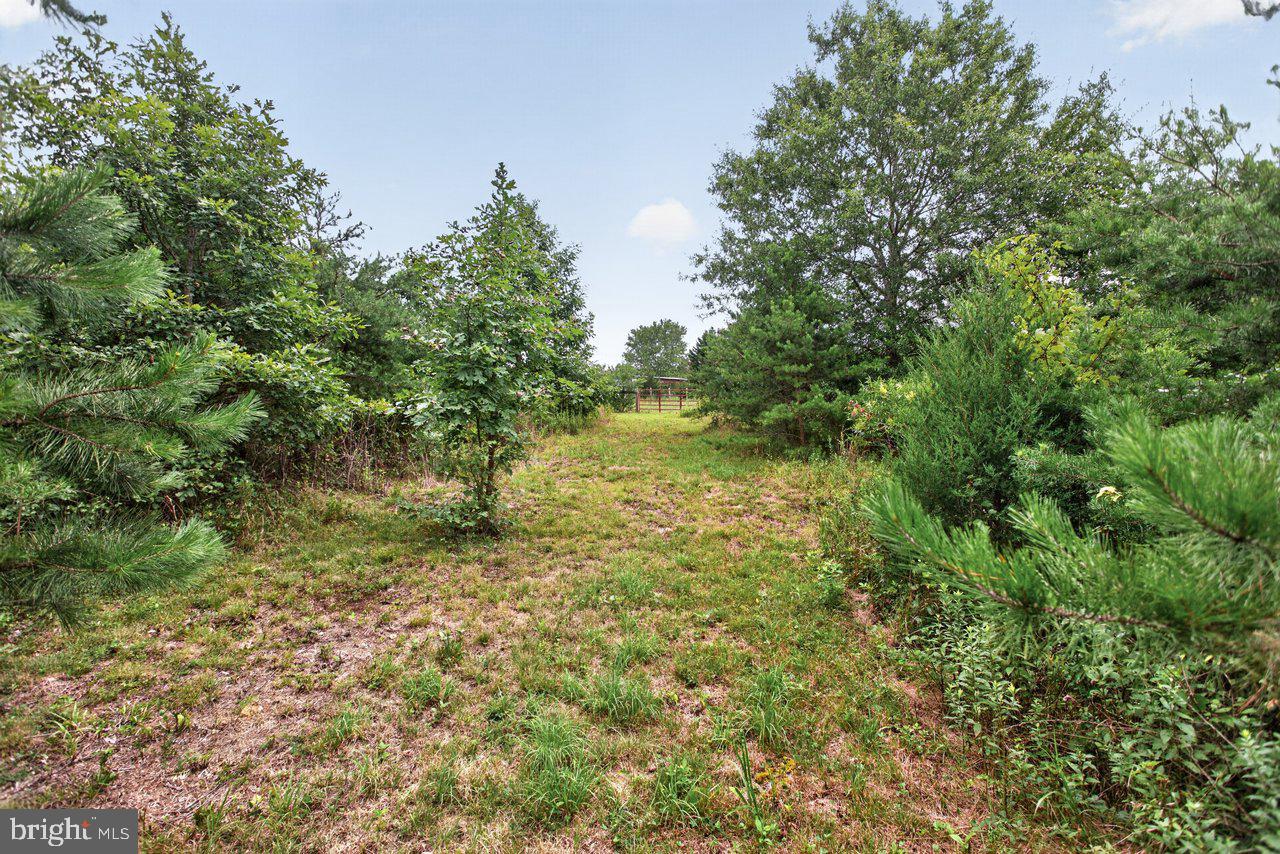 7066 Fortune Ln Property Photo 45
