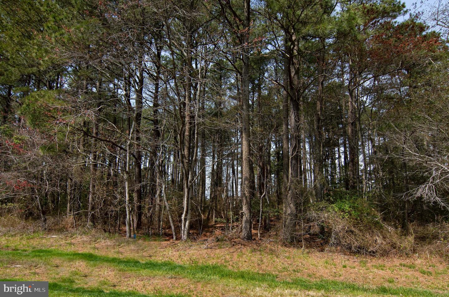 Lot 862 Broadside Drive Property Photo 1