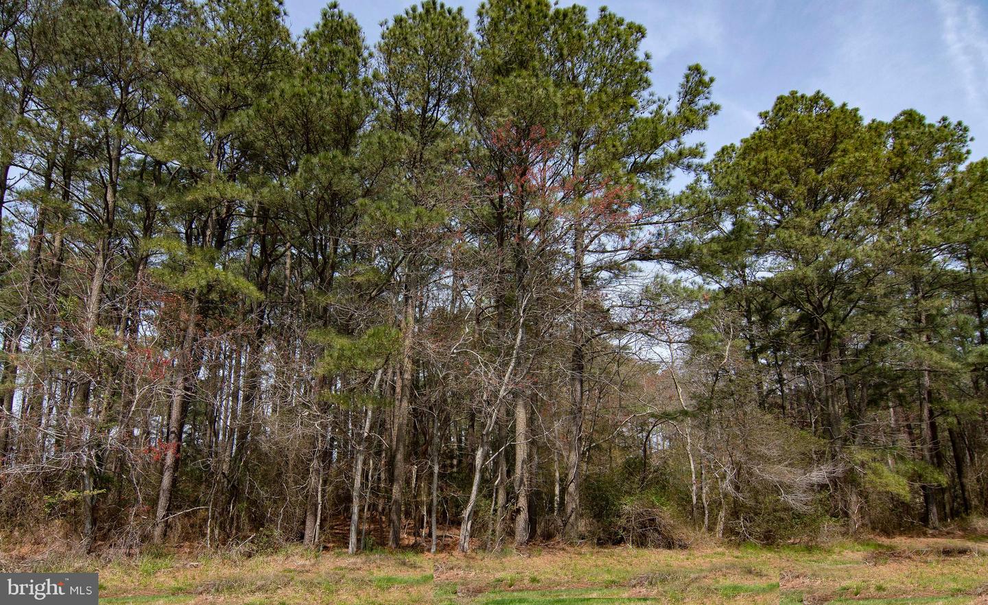 Lot 862 Broadside Drive Property Photo 2