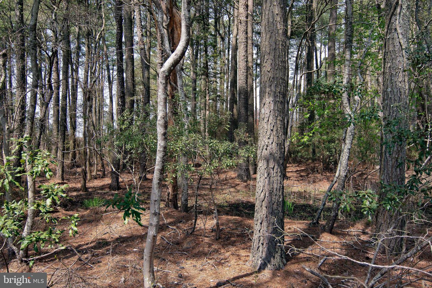 Lot 862 Broadside Drive Property Photo 3