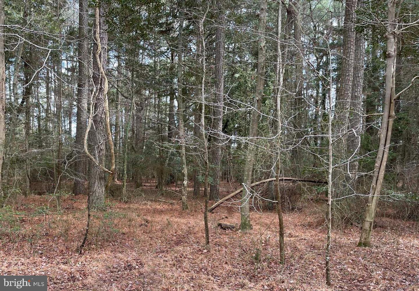 Lot 1079 Amidship Dr Property Photo 1