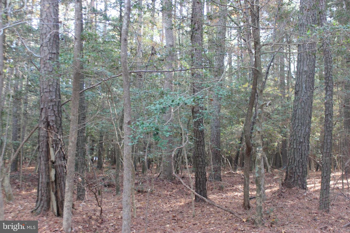 2033 Mayflower Dr Property Photo 1
