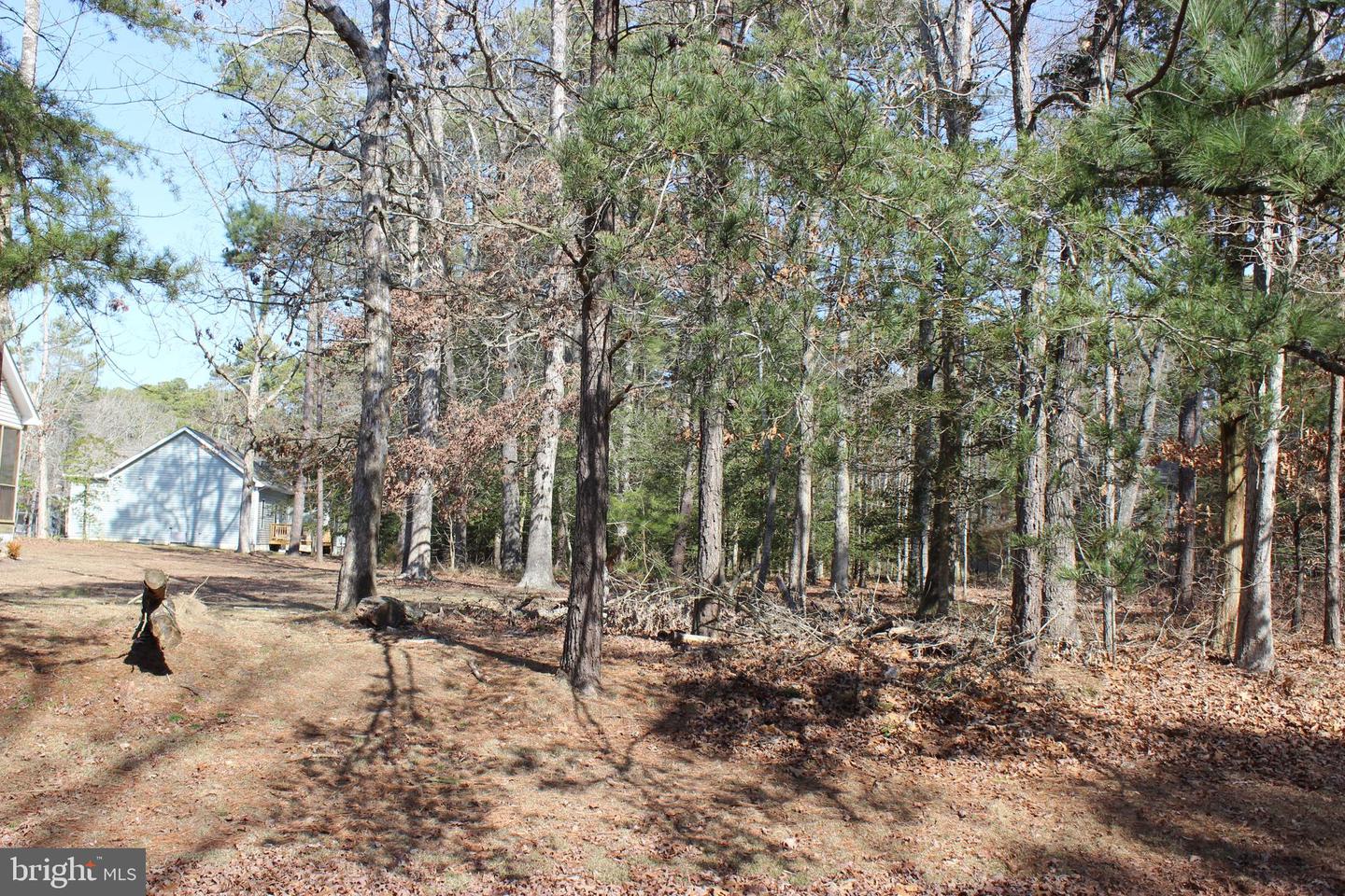 85 BARRACUDA CT Property Photo 1