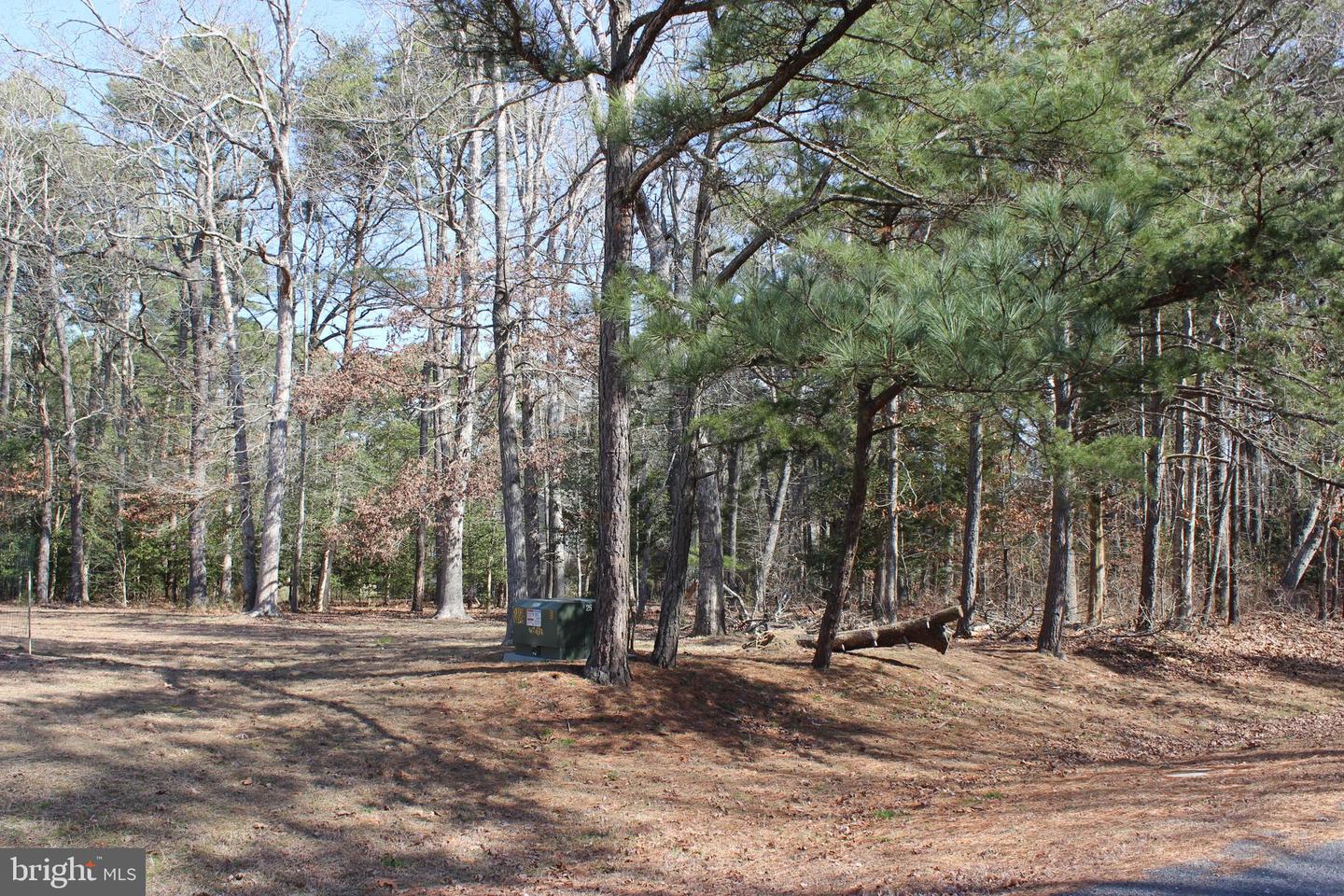 85 Barracuda Ct Property Photo 2