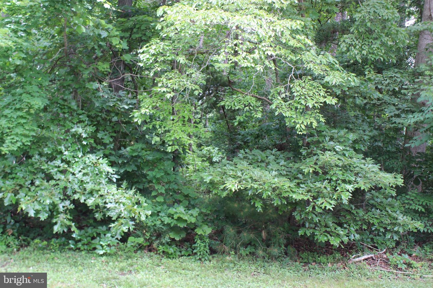 2028 Mayflower Dr Property Photo 1