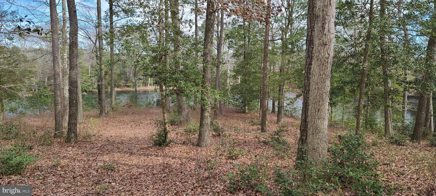 Lots 26 And 27 Olde Mill Lane Property Photo 1