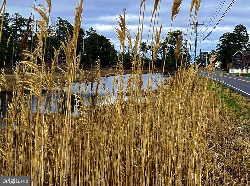 Main St Property Photo 3