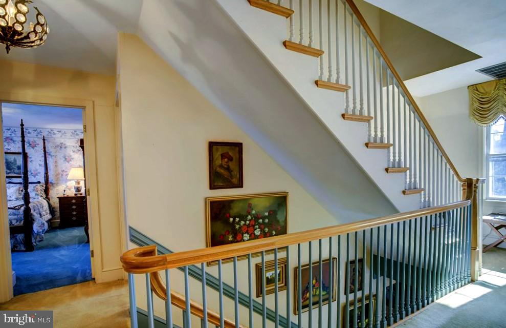 5557 Main St Property Photo 15