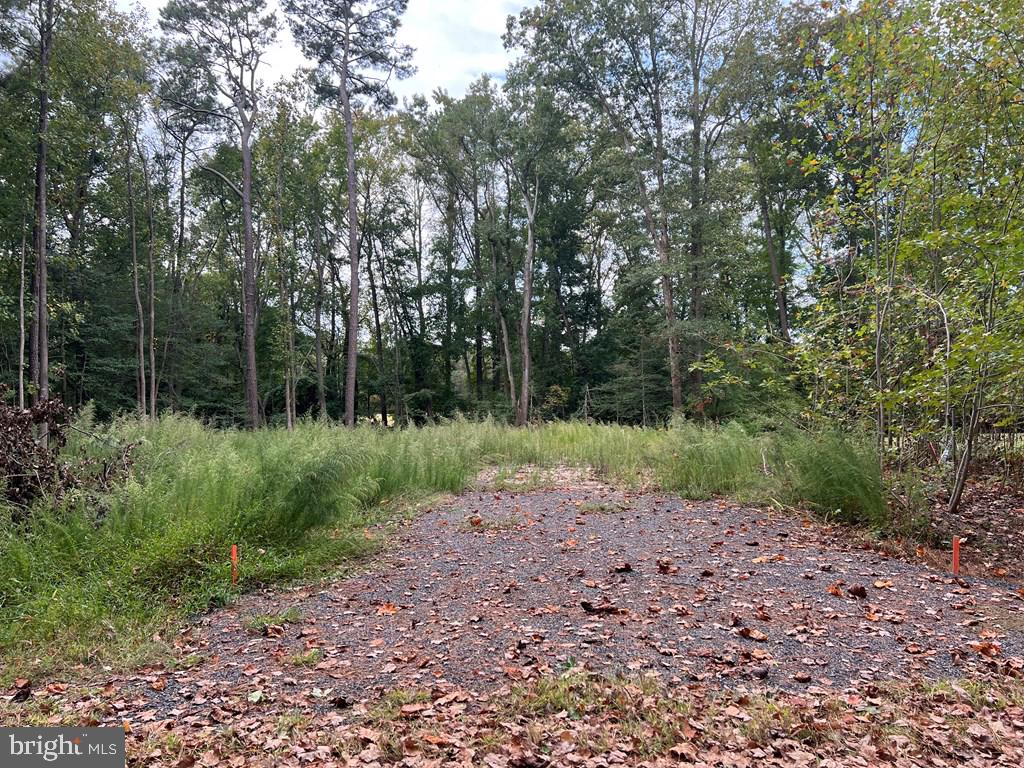 Lot 1955 Mayflower Dr Property Photo 1
