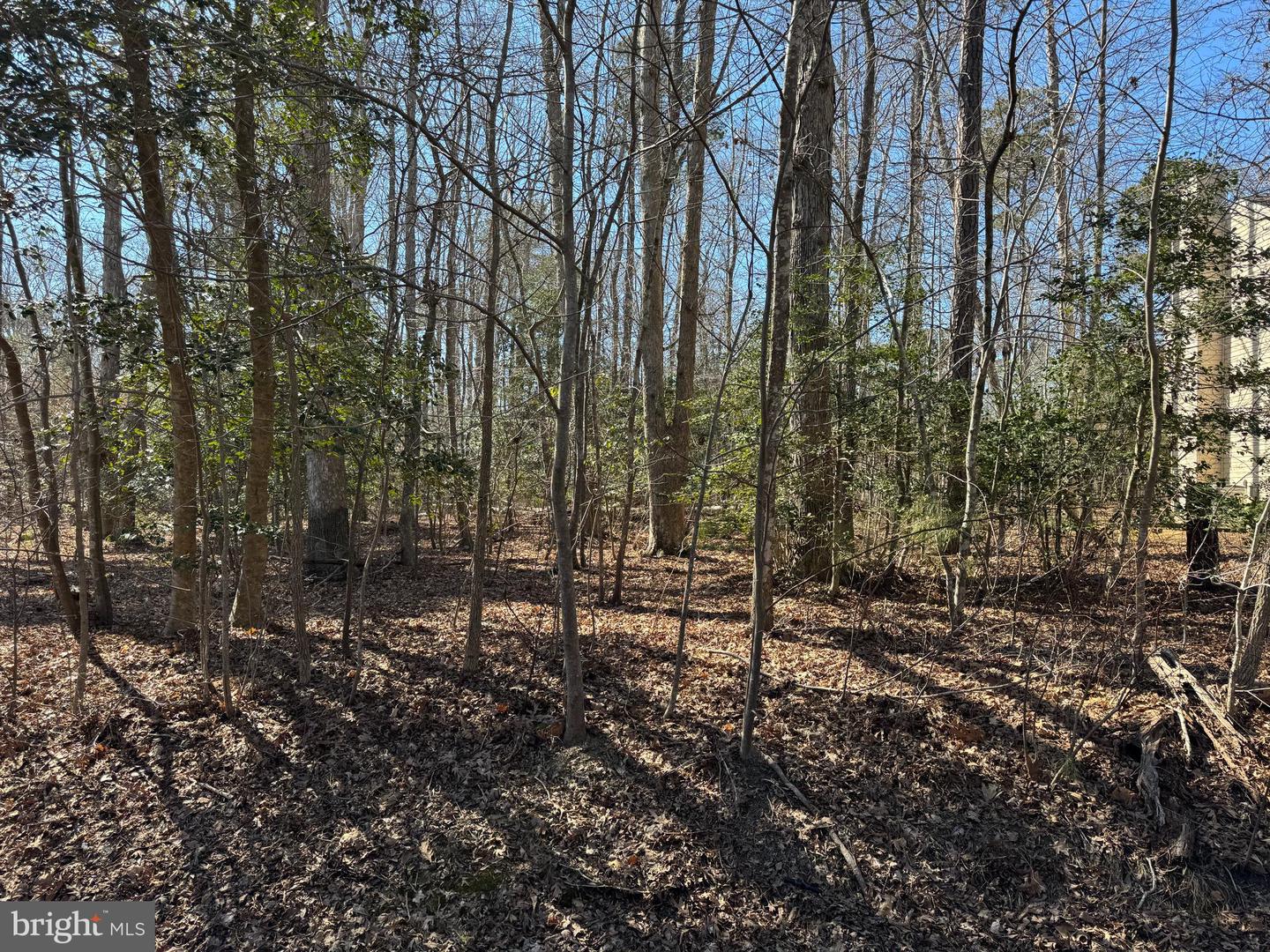 Lot 2378 Brigantine Blvd Property Photo