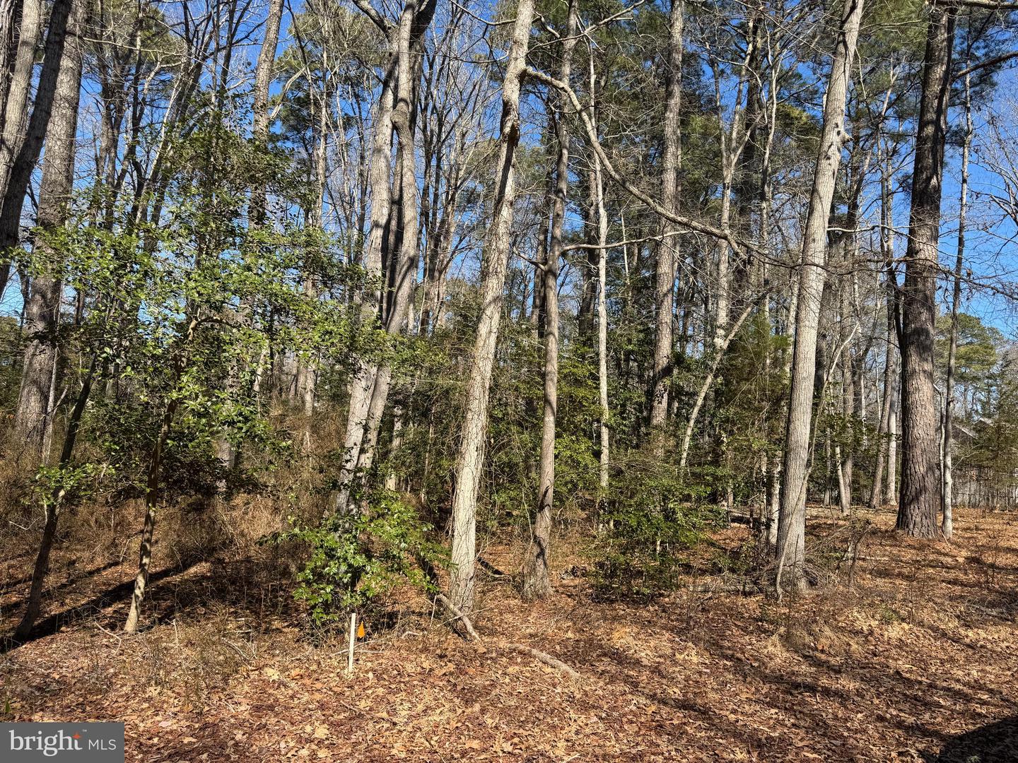 Lot 2055 Neptune Ct Property Photo