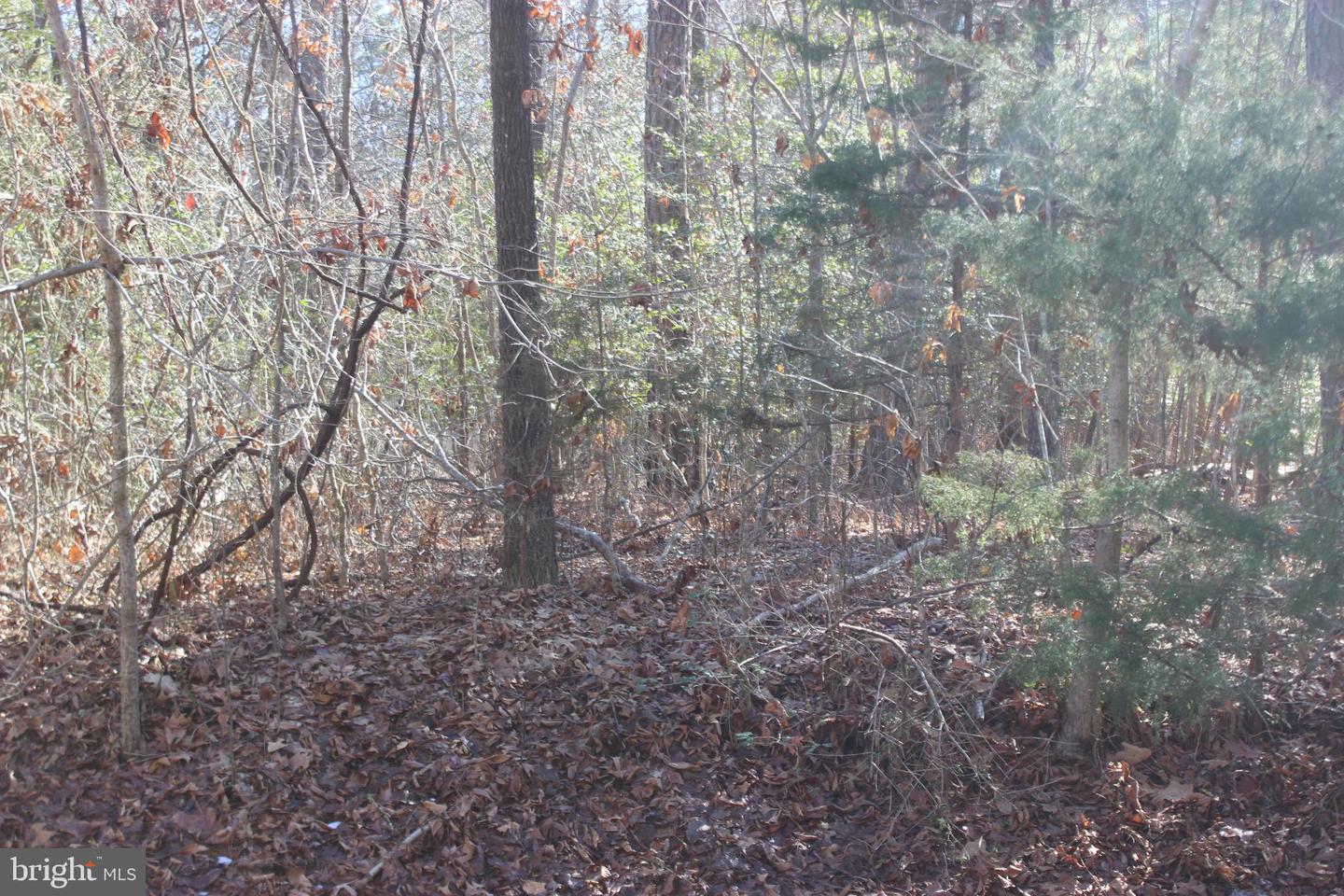 2043 Neptune Dr Property Photo