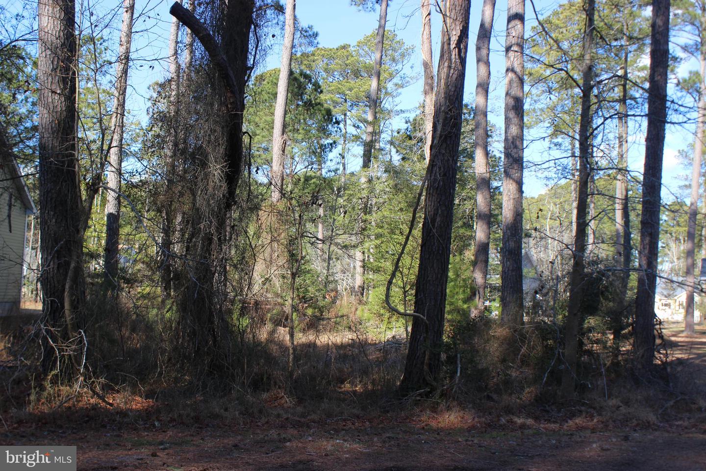 1148 Aft Ct Property Photo