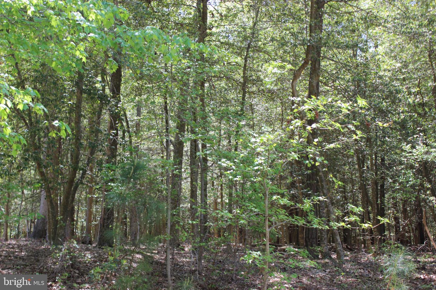 1780 YEOMAN CT Property Photo 1