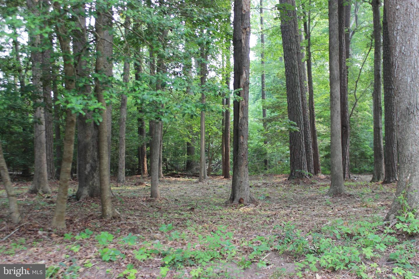 2105 Buccaneer Blvd Property Photo 1