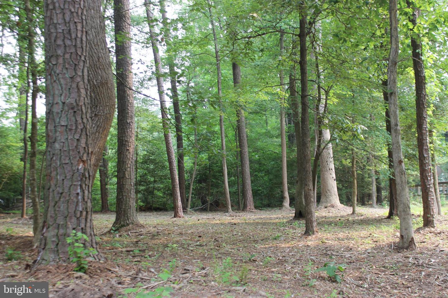 2106 Buccaneer Blvd Property Photo 1