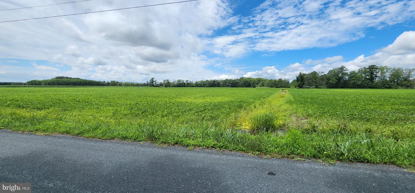 BULLBEGGER RD